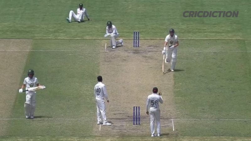 Australian Batter Matt